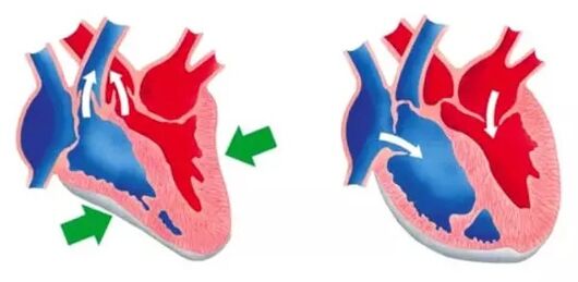 Το Blutforde ομαλοποιεί τη λειτουργία της καρδιάς και των αιμοφόρων αγγείων